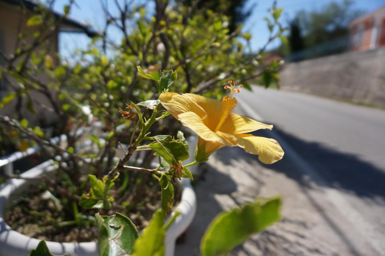 Kefalonia Sea View Cottage Ano Valtai Kültér fotó